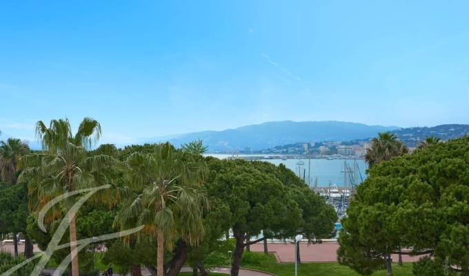 Arrendamento de curta duraçāo Apartamento Cannes