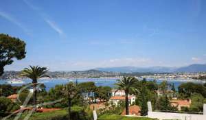 Arrendamento de curta duraçāo Villa Antibes