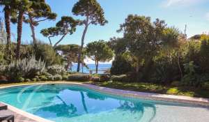 Arrendamento de curta duraçāo Villa Antibes