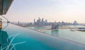 Arrendamento Studio Palm Jumeirah