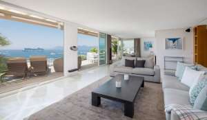 Eventos Apartamento Cannes