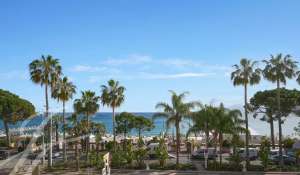 Eventos Apartamento Cannes