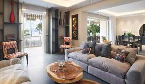 Eventos Apartamento Cannes