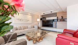 Eventos Apartamento Cannes