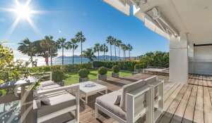 Eventos Apartamento Cannes