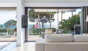 Eventos Apartamento Cannes