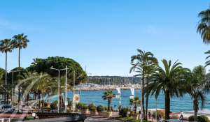 Venda Apartamento Cannes