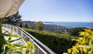 Venda Apartamento Cannes