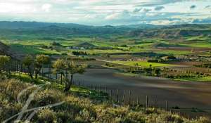 Venda Propriedade vinícola Cuenca