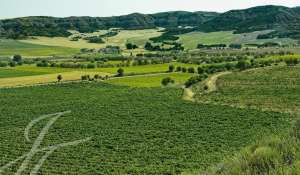 Venda Propriedade vinícola Cuenca