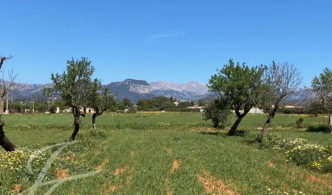 Venda Terreno Consell