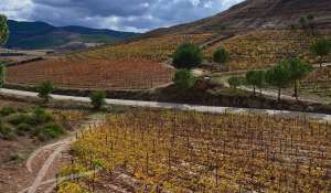 Venda Terreno Cuenca