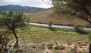 Venda Terreno Cuenca