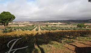 Venda Terreno Cuenca