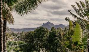 Venda Villa Trou d'Eau Douce